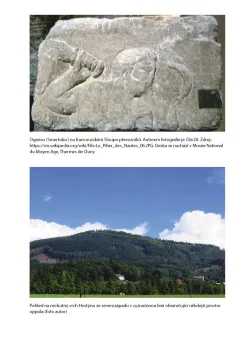 Keltika- kniha o Keltech z pohledu 21. století - foto 2 | brand photo