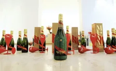 Dokonalé perlení a lesk křišťálu: Oslava talentu a výjimečnosti - foto 7 | brand photo