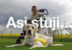 Pomocné tlapky slaví 23 let činnosti a 275 předaných psů - foto 3 | brand photo