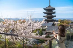 Dechberoucí období květů sakury v Kyotu: Zažijte nezapomenutelnou krásu v hotelu Seiryu Kyoto Kiyomizu - foto 1 | brand photo