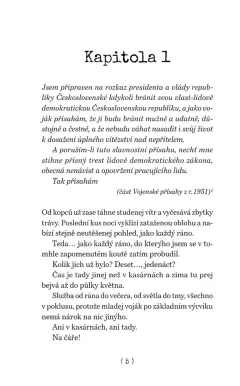 Dráty - foto 2 | brand photo