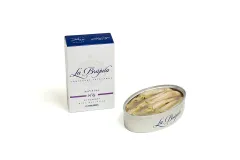 Mořské plody, jak je neznáte: ochutnejte to nejzajímavější z hlubin oceánu - foto 5 | brand photo