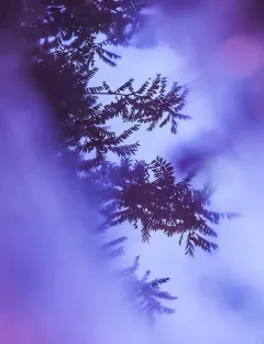 Rozhovor s Radkem Bláhou: O GIYOU, květinových klenotech, symbolech, Čechách, Faberge a luxusu - foto 8 | brand photo