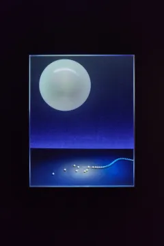 TIFFANY & CO. OSLAVILO OTEVŘENÍ VELKOLEPÉ VÝSTAVY TIFFANY WORDER V TOKIU - foto 17 | brand photo