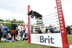 8. ročník Psího dne s Prahou 13 - foto 1 | brand photo