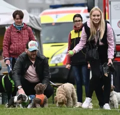 8. ročník Psího dne s Prahou 13 - foto 4 | brand photo