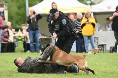 8. ročník Psího dne s Prahou 13 - foto 14 | brand photo