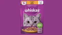 Kočičí přátelství: Proč jsou rituály a rutiny tak důležité? - foto 2 | brand photo