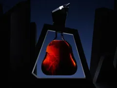 Richard Hennessy Magnum: oslava 300. výročí narození zakladatele Richarda Hennessyho - foto 2 | brand photo