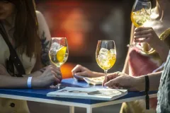 Uvedení Private Reserve METAXA Orama: Příběh o slibné budoucnosti - foto 14 | brand photo