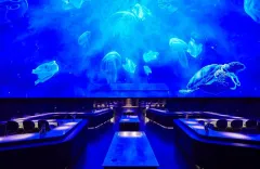 Alchemist: Kulinářská inscenace v Kodani - foto 3 | brand photo