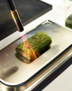 Domæne: klenot v srdci Herningu  - foto 3 | brand photo