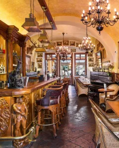 Deer restaurant: perfektní spojení tradice a moderní gastronomie - foto 2 | brand photo