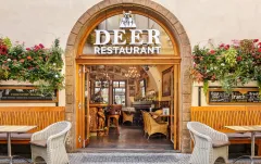 Deer restaurant: perfektní spojení tradice a moderní gastronomie - foto 1 | brand photo