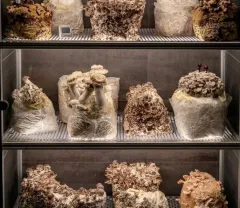 The Ledbury: Klenot londýnské gastronomické scény - foto 7 | brand photo