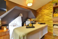 DAVINCI Wellness Hotel v Mariánských lázních: oáza klidu, soukromí a luxusu - foto 5 | brand photo