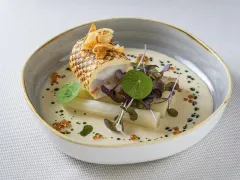 Monastiq Restaurant : luxusní prostředí a moderní gastronomie v srdci Prahy - foto 4 | brand photo