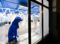 THE BRANDS N°3: UNIKÁTNÍ KONCEPT A KURÁTORSKY NAVRŽENÝ PROSTOR - foto 3 | brand photo