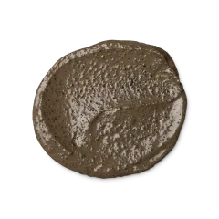 Veganuary 2025: začít nový rok jako vegan s produkty Lush - foto 3 | brand photo