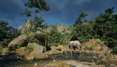 O centru pro děti s těžkým kombinovaným postižením Smiling Crocodile, se zakladatelkou a ředitelkou Mgr. Dagmar Herrmannovou - foto 7 | brand photo