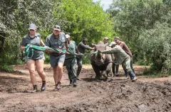 Credit: Howard Cleland – andBeyond Travel