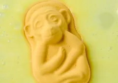 HUTAN – koupelová bomba, která chrání prales a makaky - foto 1 | brand photo