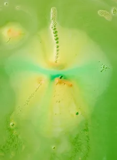 HUTAN – koupelová bomba, která chrání prales a makaky - foto 5 | brand photo