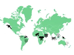 HUTAN – koupelová bomba, která chrání prales a makaky - foto 3 | brand photo