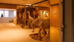 Dyson Beauty společně se značkou Dior zářil na filmovém festivalu v Cannes - foto 6 | brand photo