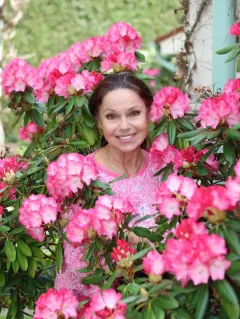 Foto: Václav Hudeček