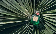 Zavřete oči a nechte se unést: Nová vůně Bombshell Escape od VICTORIA'S SECRET - foto 1 | brand photo