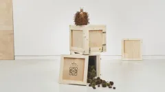 Hennessy Paradis a Loewe: Umění proměny luxusu ve hmatatelný zážitek - foto 3 | brand photo