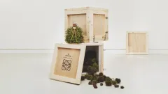 Hennessy Paradis a Loewe: Umění proměny luxusu ve hmatatelný zážitek - foto 2 | brand photo