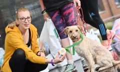 Když se pejsci radují….. proběhl již devátý ročník Psí den s Prahou 13 - foto 8 | brand photo