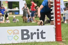 Když se pejsci radují….. proběhl již devátý ročník Psí den s Prahou 13 - foto 9 | brand photo