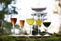 Únik před horkem a návrat k tradici: Jedinečný matcha zážitek v Kjótu - foto 4 | brand photo