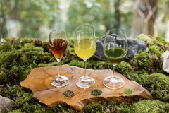 Únik před horkem a návrat k tradici: Jedinečný matcha zážitek v Kjótu - foto 3 | brand photo