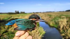 ČSO a Lush se spojují v kampani na záchranu mokřadů - foto 1 | brand photo