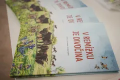 V remízku je divočina - foto 5 | brand photo