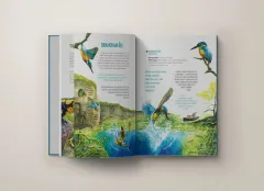 V remízku je divočina - foto 4 | brand photo