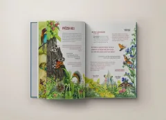 V remízku je divočina - foto 3 | brand photo