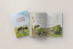 V remízku je divočina - foto 2 | brand photo