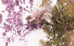 Živly: Kalendář Pirelli 2026 od Sølve Sundsbø byl představen v Obecním domě v Praze - foto 4 | brand photo