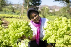 Darovat smysluplně a šetrně: ADRA i letos nabízí dárky, které podpoří lidi v nouzi - foto 2 | brand photo