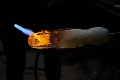 Foto: ČOV, Barbora Reichová