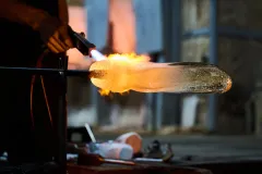 Foto: ČOV, Barbora Reichová