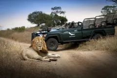 Phinda Zuka Lodge v Jihoafrické republice otvírá po citlivém redesignu