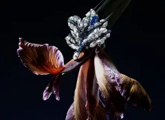 Cindy Chao White Label: Jedinečnost pro každodenní nošení - foto 1 | brand photo