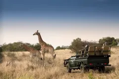 Safari romantika v objetí písečného lesa: Nová kapitola andBeyond Phinda Vlei Lodge