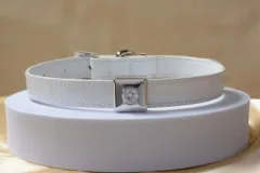 Ritani: diamantové šperky pro vaše domácí mazlíčky  - foto 3 | brand photo